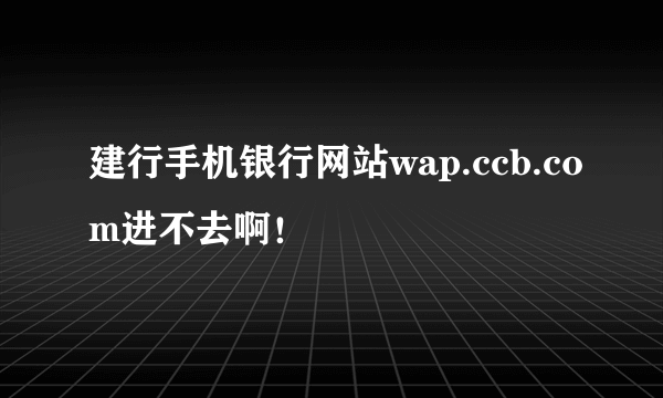 建行手机银行网站wap.ccb.com进不去啊！