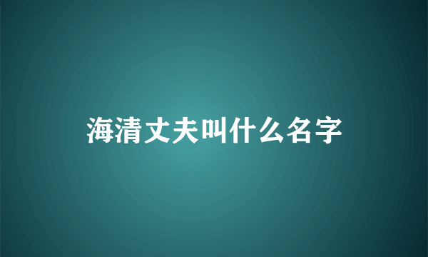 海清丈夫叫什么名字