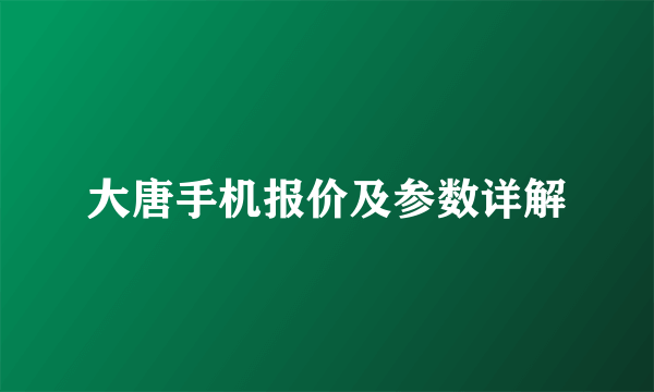 大唐手机报价及参数详解