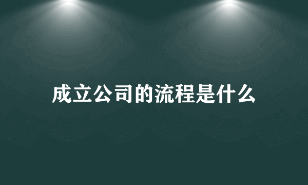 成立公司的流程是什么