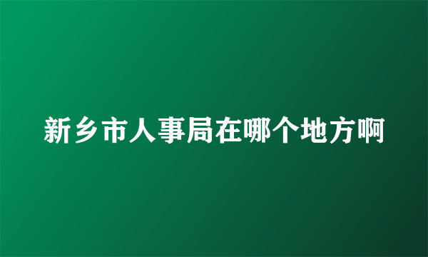 新乡市人事局在哪个地方啊