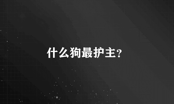 什么狗最护主？