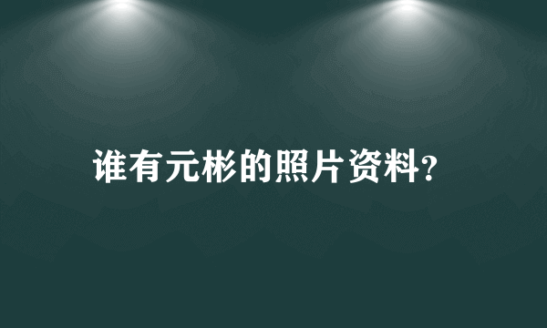 谁有元彬的照片资料？