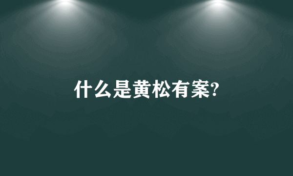 什么是黄松有案?