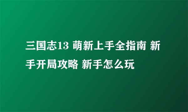 三国志13 萌新上手全指南 新手开局攻略 新手怎么玩