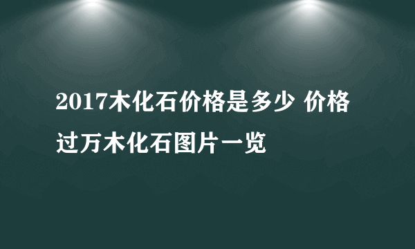 2017木化石价格是多少 价格过万木化石图片一览