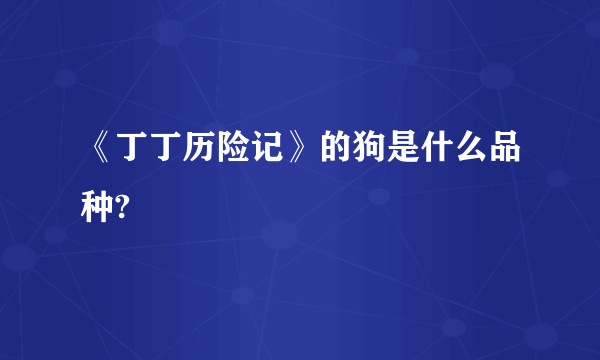 《丁丁历险记》的狗是什么品种?