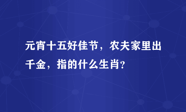 元宵十五好佳节，农夫家里出千金，指的什么生肖？