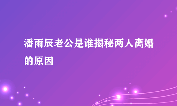 潘雨辰老公是谁揭秘两人离婚的原因