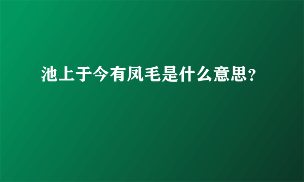 池上于今有凤毛是什么意思？