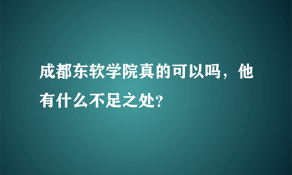 成都东软学院真的可以吗，他有什么不足之处？