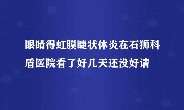 眼睛得虹膜睫状体炎在石狮科盾医院看了好几天还没好请