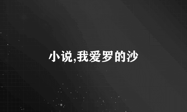 小说,我爱罗的沙