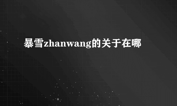 暴雪zhanwang的关于在哪