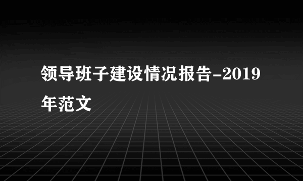 领导班子建设情况报告-2019年范文