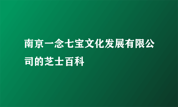 南京一念七宝文化发展有限公司的芝士百科