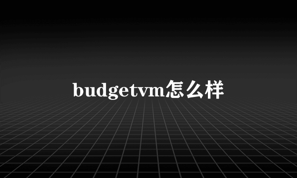 budgetvm怎么样