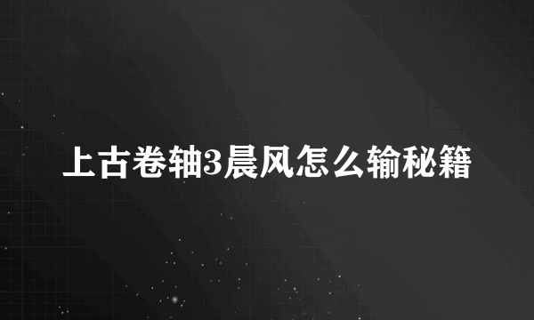 上古卷轴3晨风怎么输秘籍