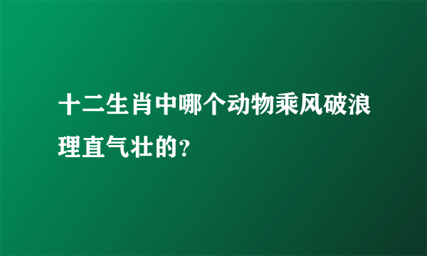 十二生肖中哪个动物乘风破浪理直气壮的？