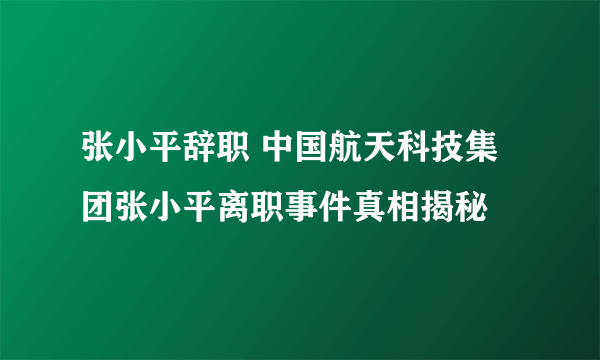 张小平辞职 中国航天科技集团张小平离职事件真相揭秘