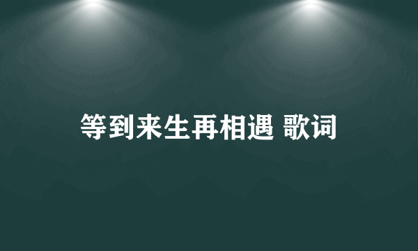 等到来生再相遇 歌词