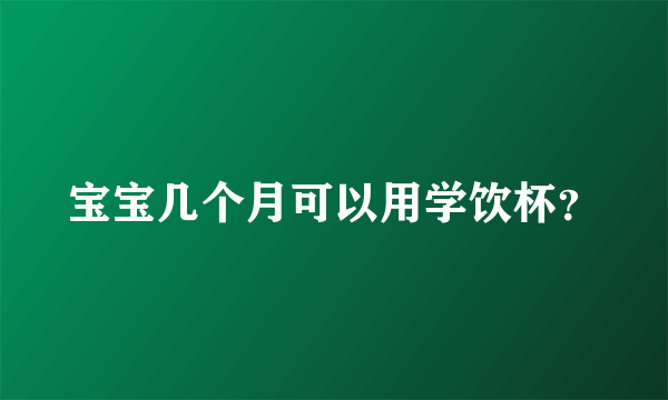 宝宝几个月可以用学饮杯？