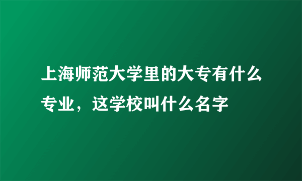 上海师范大学里的大专有什么专业，这学校叫什么名字