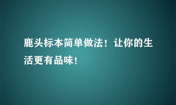 鹿头标本简单做法！让你的生活更有品味！