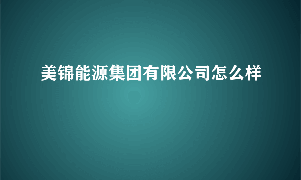 美锦能源集团有限公司怎么样