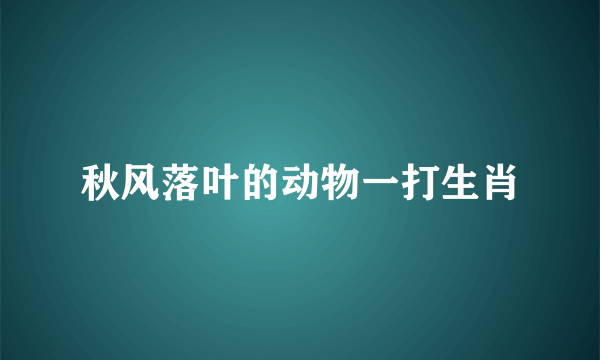 秋风落叶的动物一打生肖