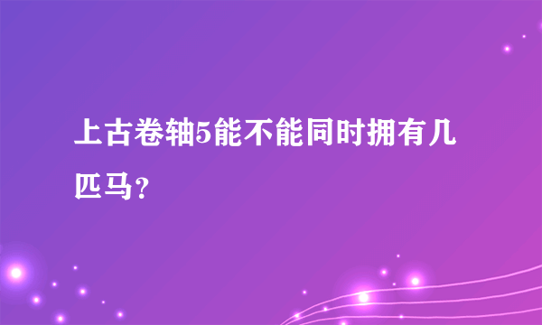 上古卷轴5能不能同时拥有几匹马？