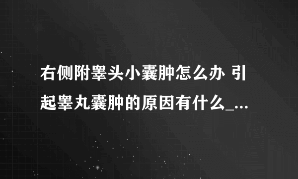 右侧附睾头小囊肿怎么办 引起睾丸囊肿的原因有什么_睾丸囊肿的治疗方法和危害