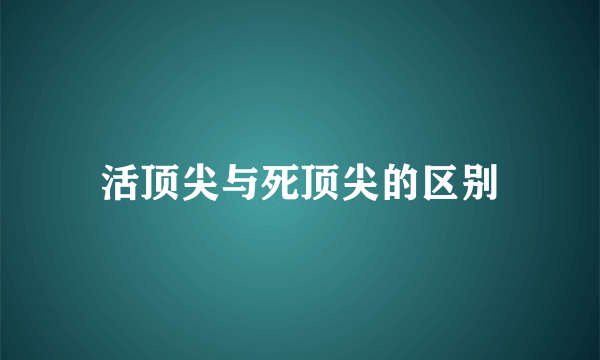 活顶尖与死顶尖的区别