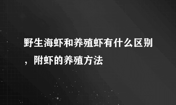 野生海虾和养殖虾有什么区别，附虾的养殖方法