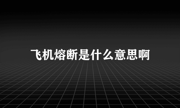 飞机熔断是什么意思啊