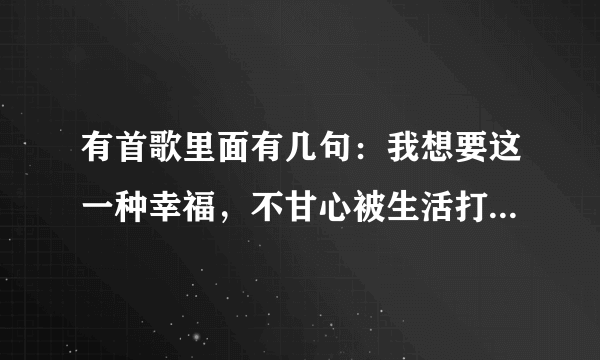 有首歌里面有几句：我想要这一种幸福，不甘心被生活打败，我相信梦的存在。这首歌叫什麽？