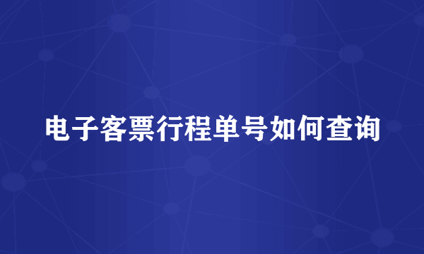 电子客票行程单号如何查询