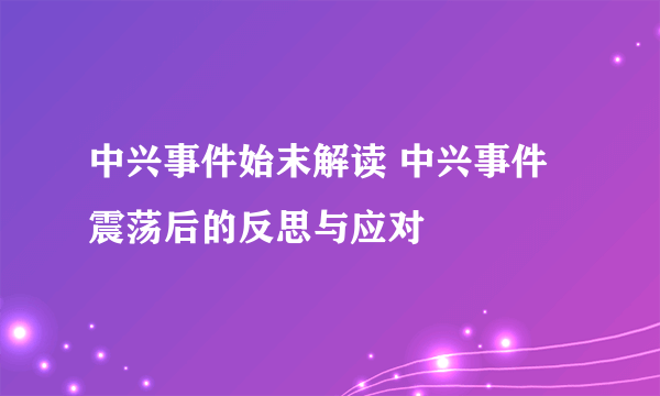 中兴事件始末解读 中兴事件震荡后的反思与应对