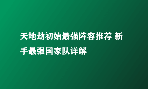 天地劫初始最强阵容推荐 新手最强国家队详解