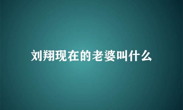 刘翔现在的老婆叫什么