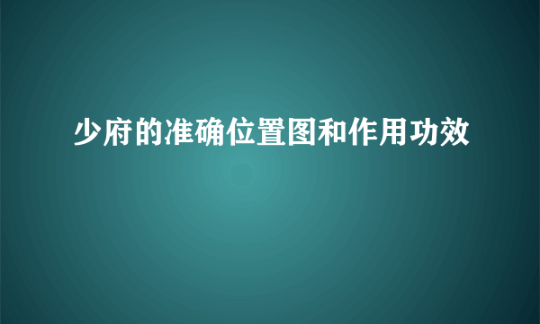 少府的准确位置图和作用功效