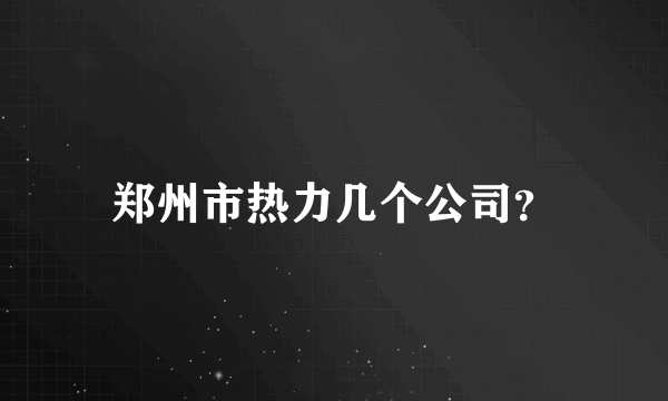 郑州市热力几个公司？