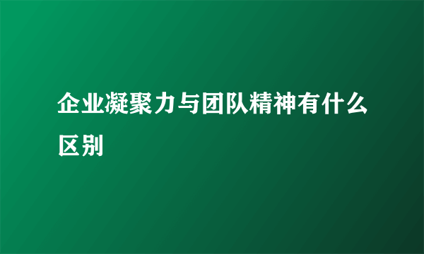 企业凝聚力与团队精神有什么区别