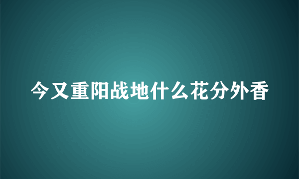 今又重阳战地什么花分外香