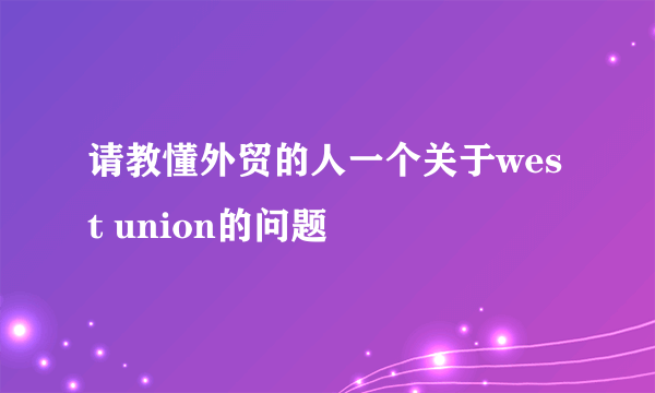 请教懂外贸的人一个关于west union的问题