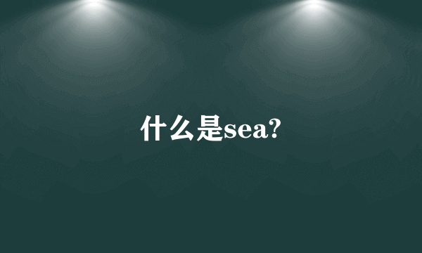 什么是sea?