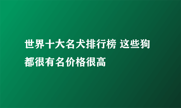 世界十大名犬排行榜 这些狗都很有名价格很高