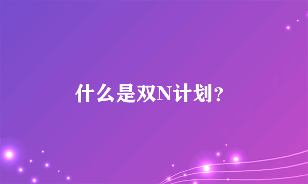 什么是双N计划？