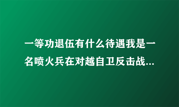 一等功退伍有什么待遇我是一名喷火兵在对越自卫反击战中荣立一等功。87年复员后分配到税务局工作至今还