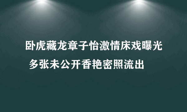 卧虎藏龙章子怡激情床戏曝光 多张未公开香艳密照流出